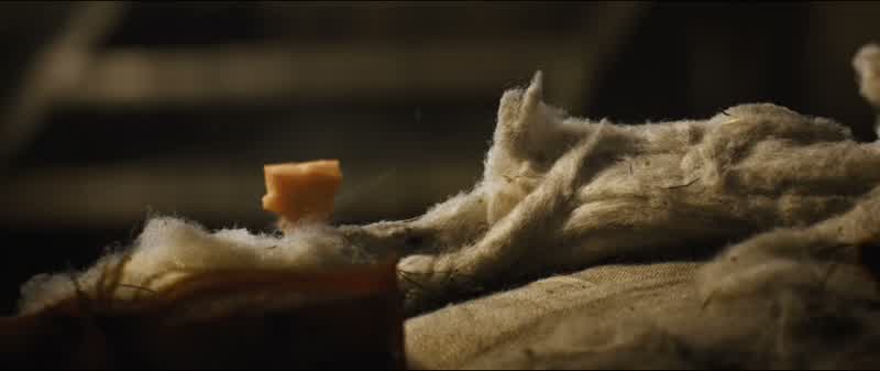 Go on, Gus-Gus, you can do it