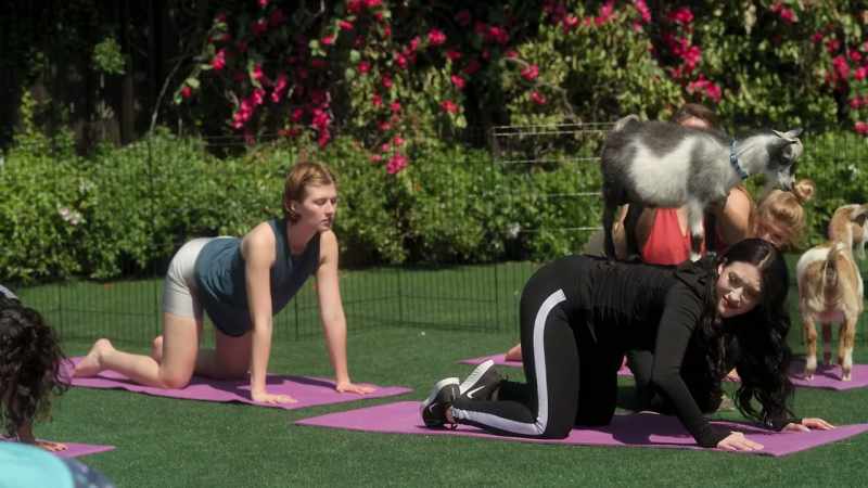 � [goat bleating] IMELDA: Let the goats absorb