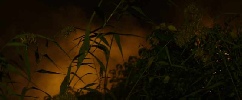 God, come on, Blake. -[Blake] Sorry, nature call