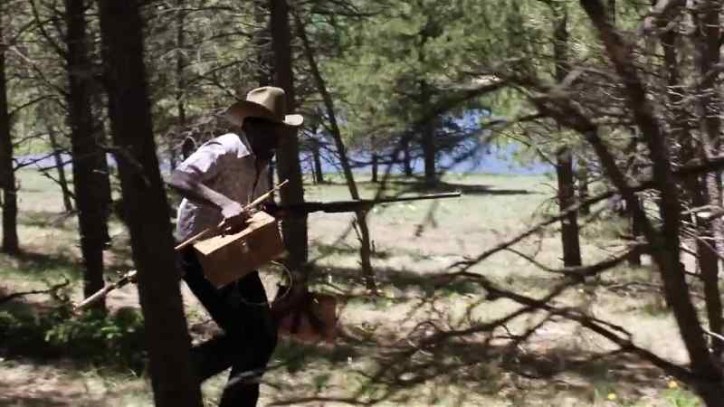 Goddamn apes, snakes, alligators and shit!