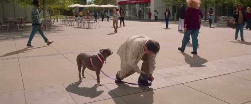 Goddamn dog. I wish I could shit anywhere