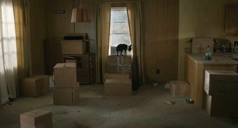 Goddamn it! - (barks)