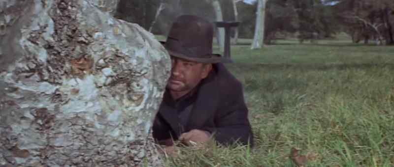 Goddamn it, Mr. Calloway. I can explain everything
