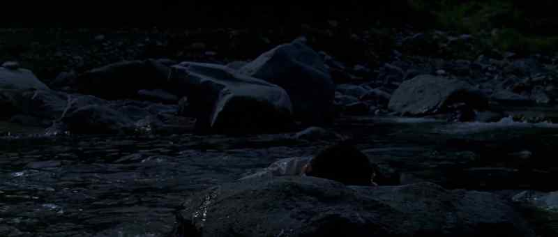 [Godzilla roaring]