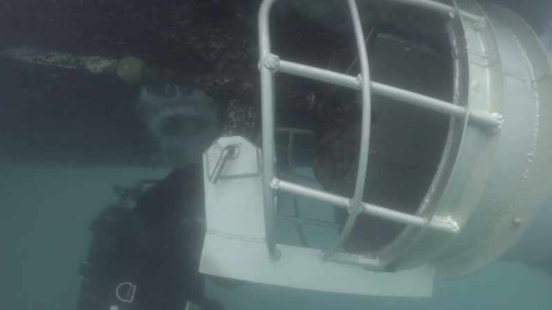 �Going in gear. ‐...Captain Greg Bounds once again employs