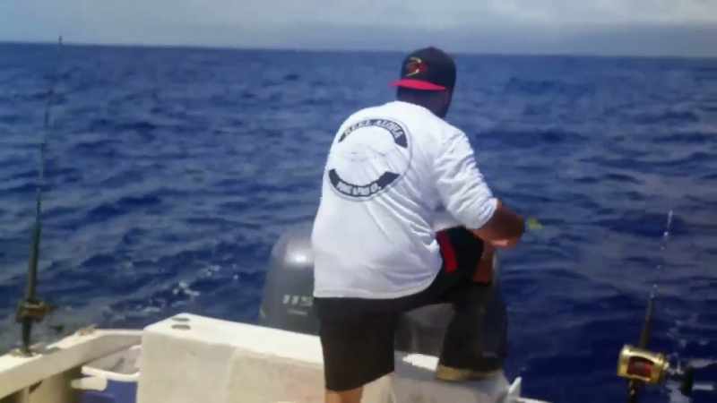 Going right through your fish right now