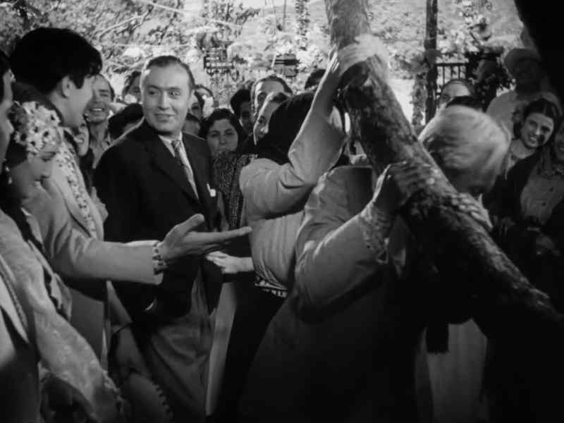 Golden wedding? - No, they got married yesterday!