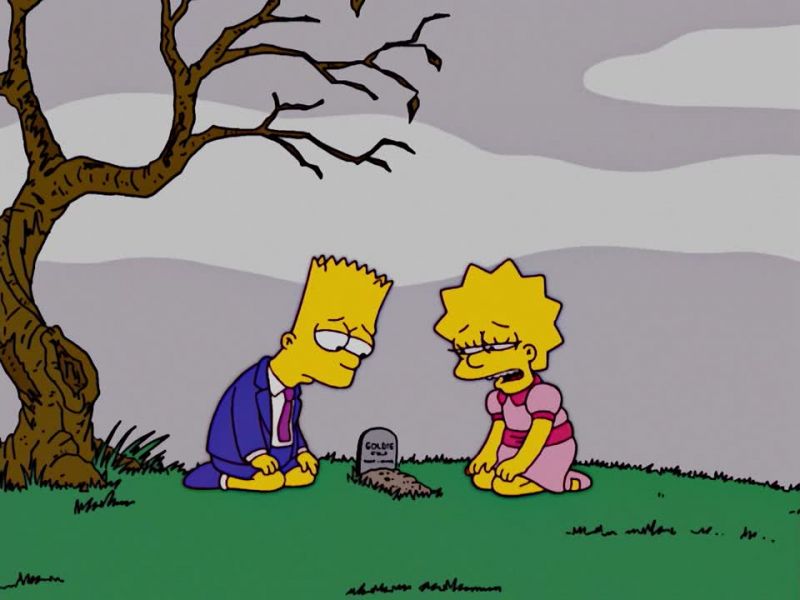 Goldie, you were more than just a goldfish