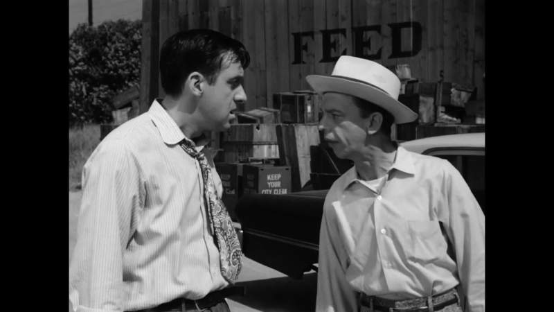 GOMER GET DOWN THERE WITH THEM SPIDERS AND START WORKIN'