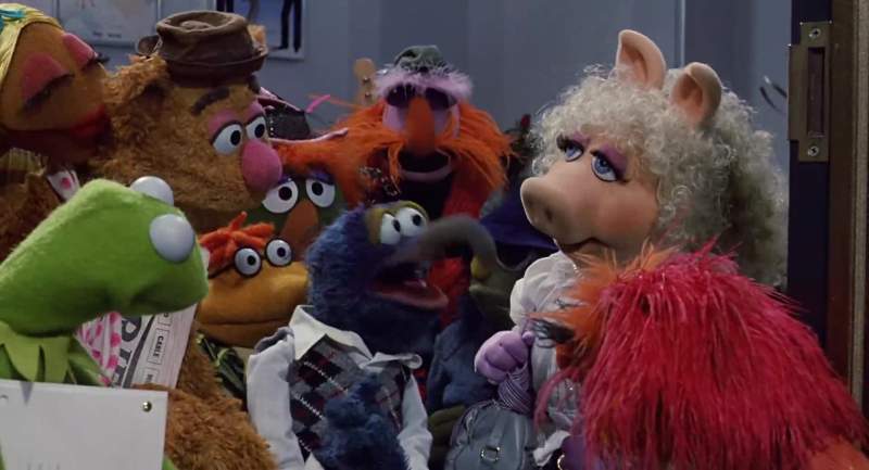 Gonzo are you okay