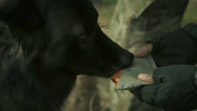 Good boy. - [chuckles]