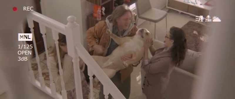 Good boy! Oh, hello! - Hi