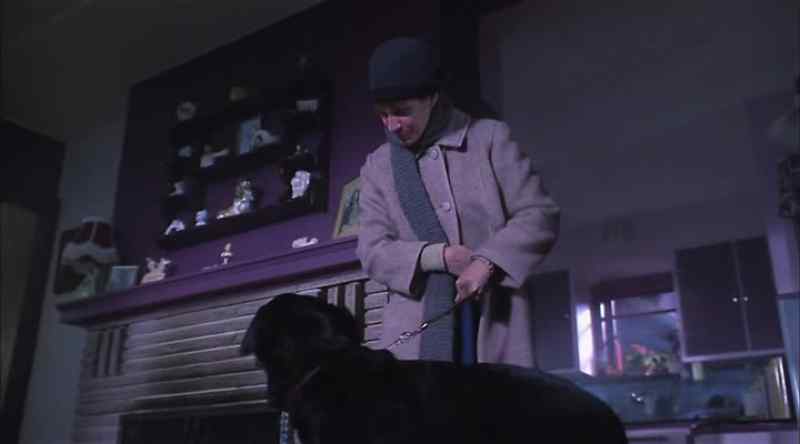 Good boy. Sit