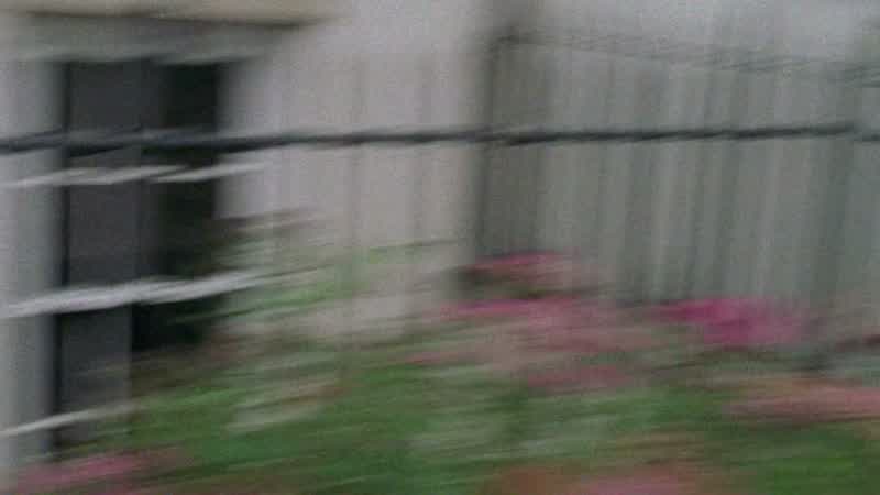 Good catch, Aphid