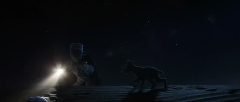 Good dog!