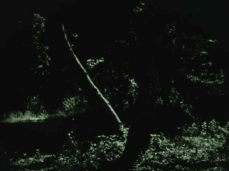Good my lord... poor Lady Marian... it was on this very spot