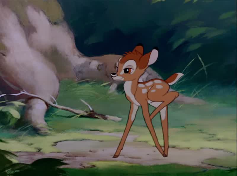 Good morning, Bambi