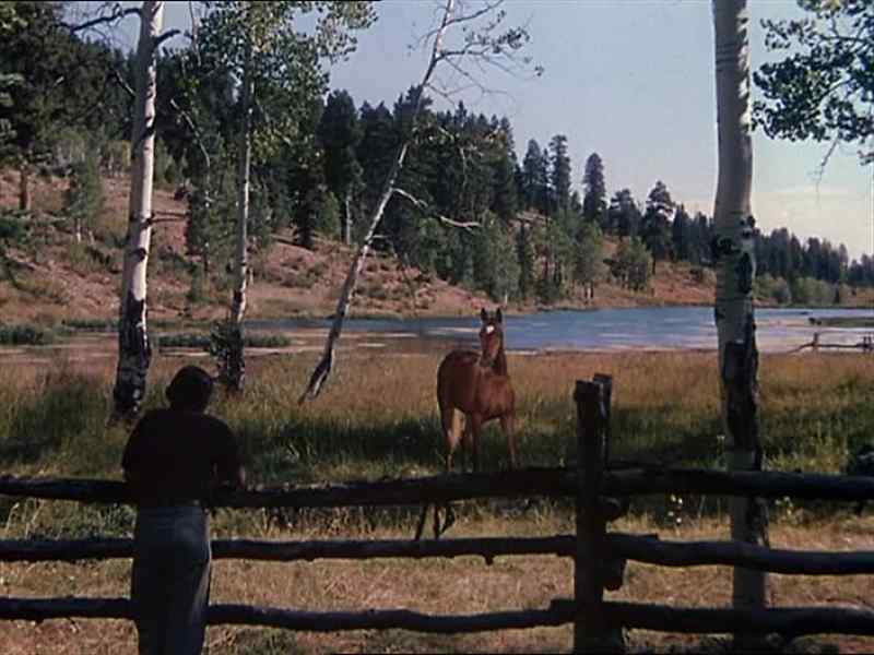 Good morning, Flicka