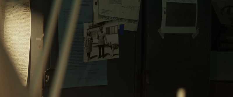 Good old-fashioned Blondi, all died in the bunker