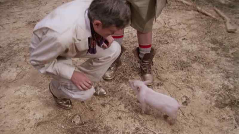 Good piggy