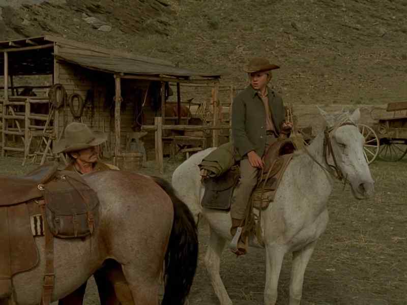 Good thing I was here to help with the horses