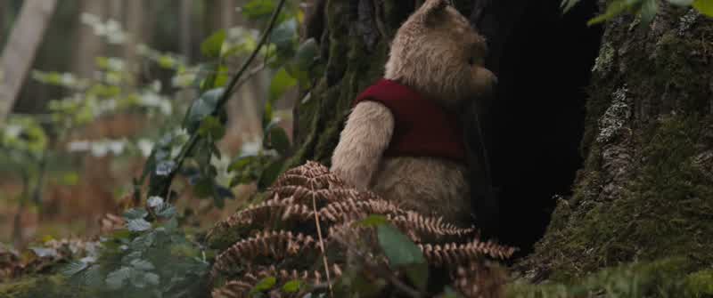 Goodbye, Christopher