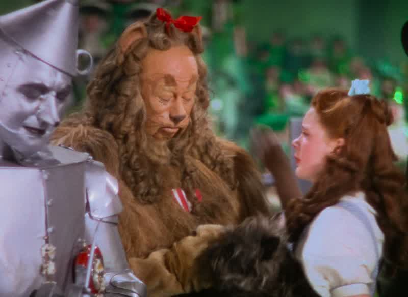 Goodbye, Lion