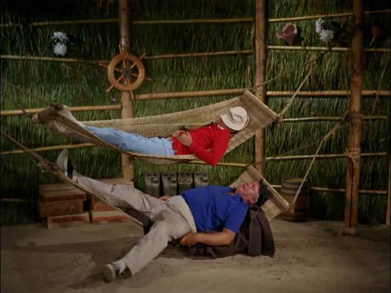 GOODNIGHT, GILLIGAN