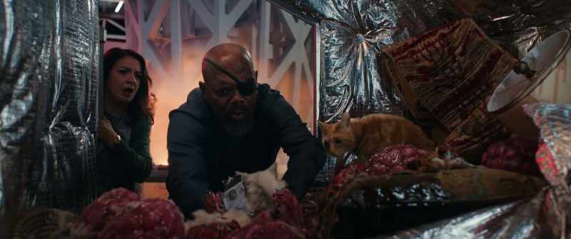 Goose, how'd you... (FLERKEN MEOWING)