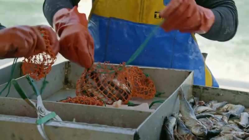 GORDON And if I don't get these bait bags ready quick enough