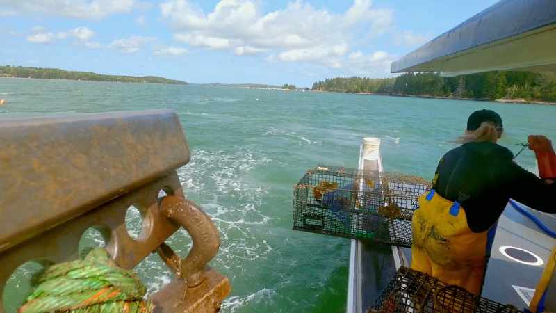 GORDON Second, each line has one buoy with