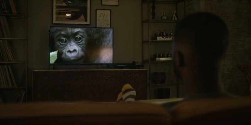 (gorilla growling)