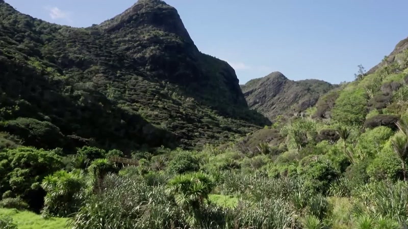 Grace's body was found the next day in the Waitakere Range