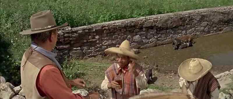 Gracias, señor