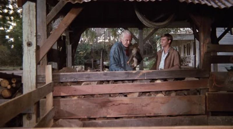 Grandpa, I'm worried about my brother