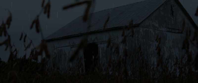 (grass rustling)