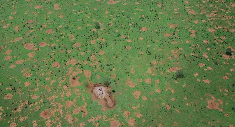 Great droughts bring great rains