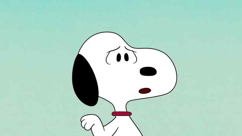 Great job clearing out the clutter, Snoopy