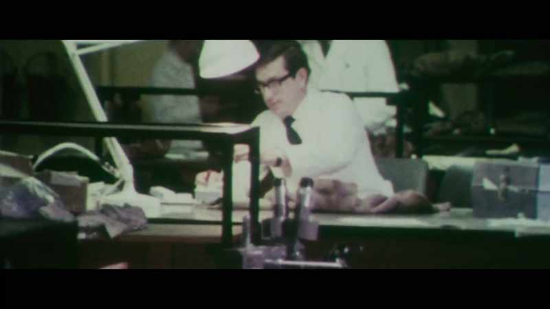 [Green] In the 1970s, any identification