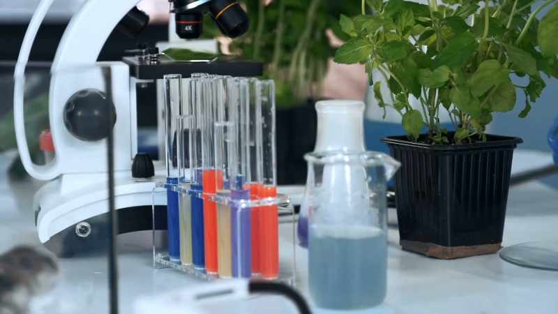 Green obtained grass and soil samples