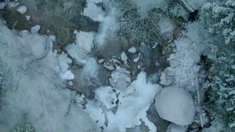 Green turns to white