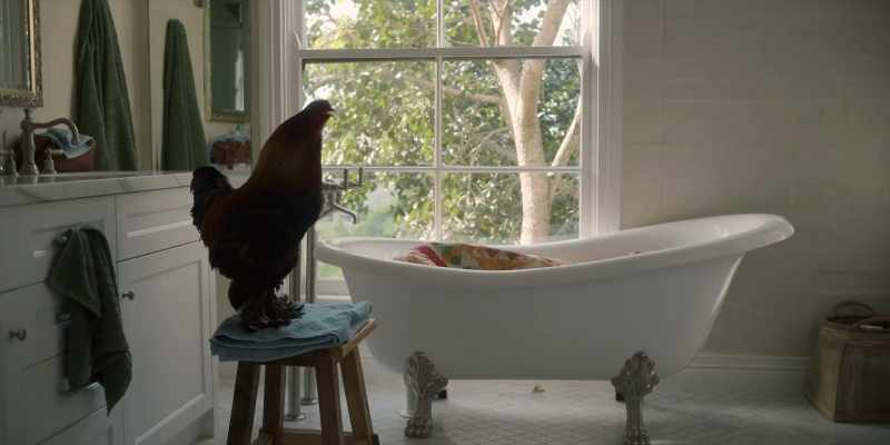 (GREGORY CROWS)