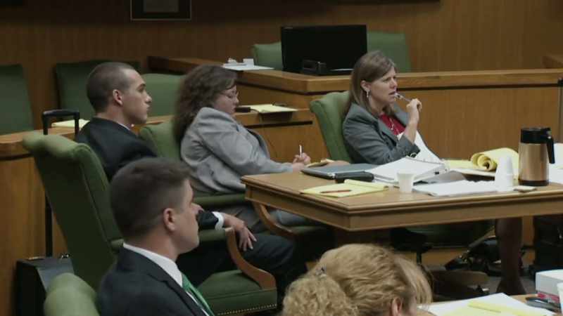 Greg's trial lawyer came up with her theory
