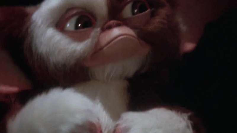 GREMLIN Gizmo ca ca