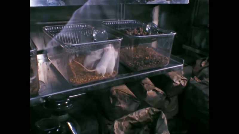 Griffin: They were exposed to the lunar material