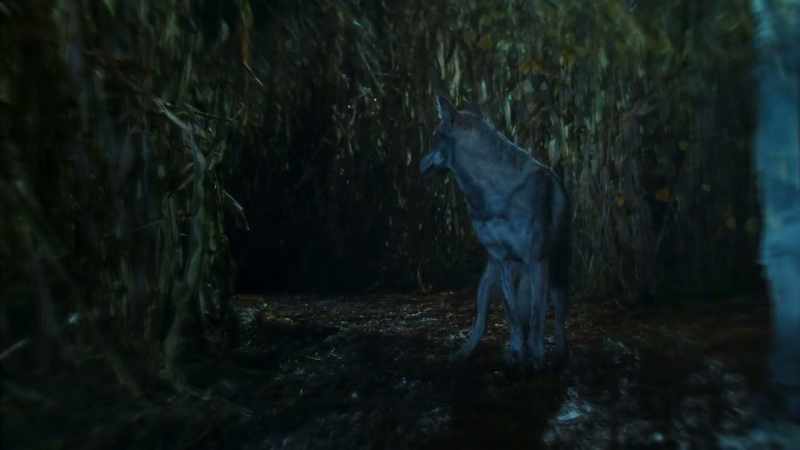 Grim is hiding out in a ghost town corn maze