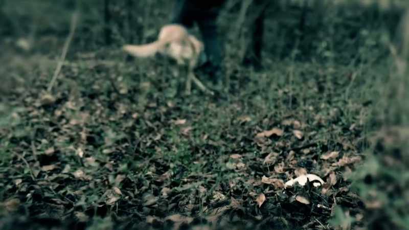 Grimm: THEY SIMPLY FOUND BONES IN A PARK