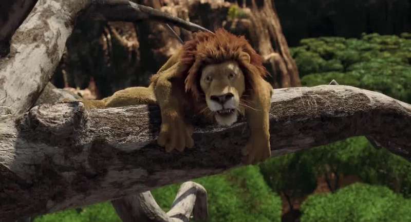 Groans Not so fast Tigger