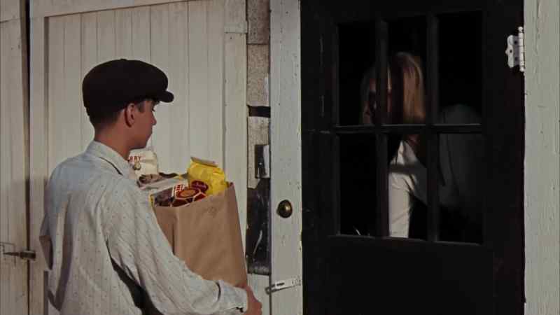 Groceries, ma'am