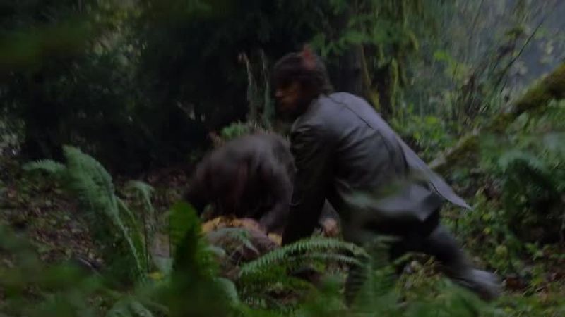 (GROWLING)